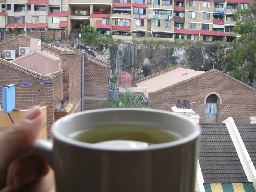 31 cups of oolong tea