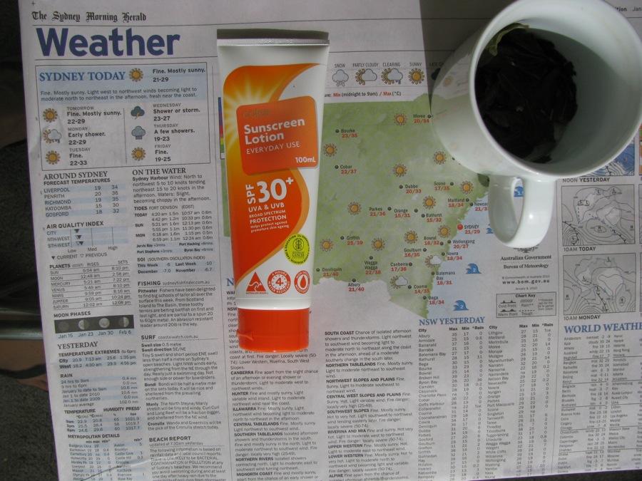 31 cups of oolong tea