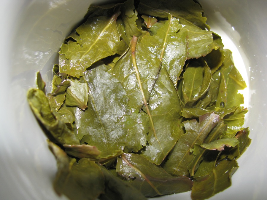 31 cups of oolong tea