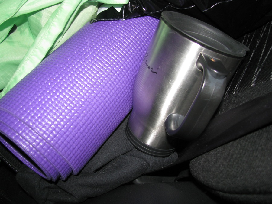 31 cups of oolong tea