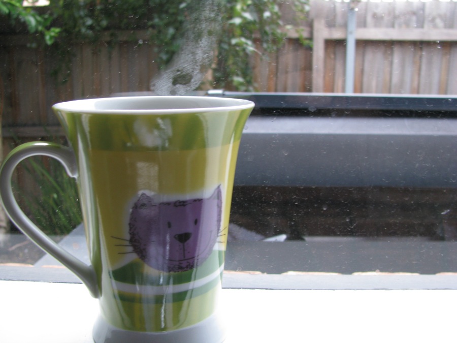 31 cups of oolong tea